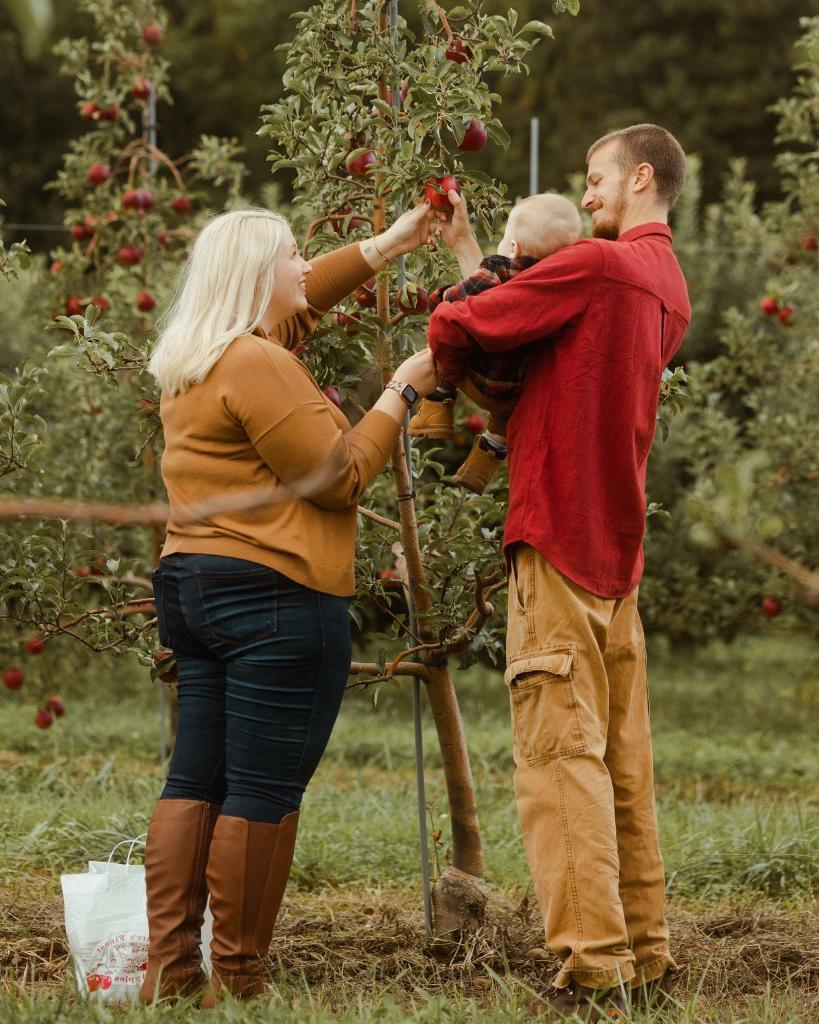 Owen Orchards